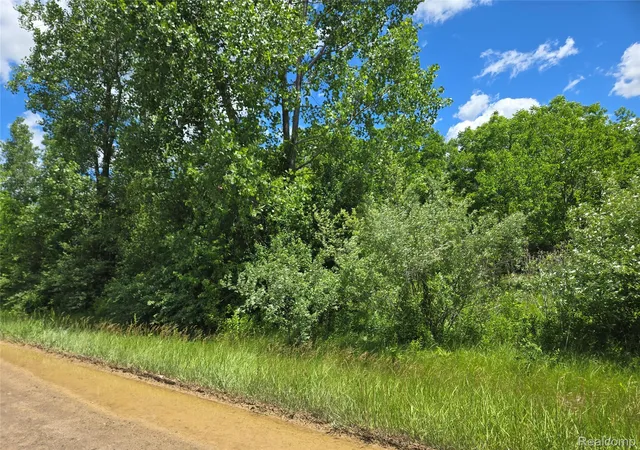 Photo 1 of Land for sale at V/l Roat Ct, Burton City Genesee, MI 48509 | MLS# 20261007018 | Listing updated on 2026-08-03