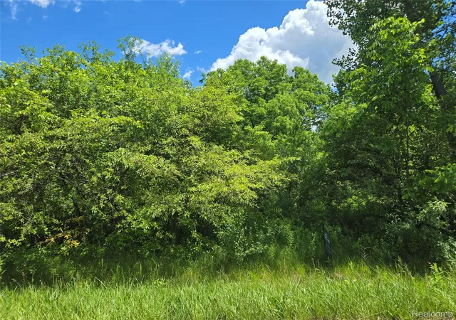 Photo 3 of Land for sale at V/l Roat Ct, Burton City Genesee, MI 48509 | MLS# 20261007018 | Listing updated on 2026-08-03