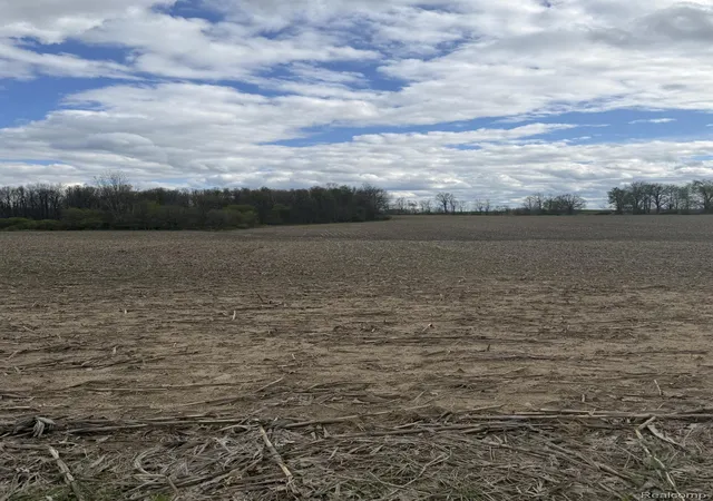 Photo 1 of Land for sale at 00 Thom Rd, Oregon Township Lapeer, MI 48721 | MLS# 20261007027 | Listing updated on 2026-08-03