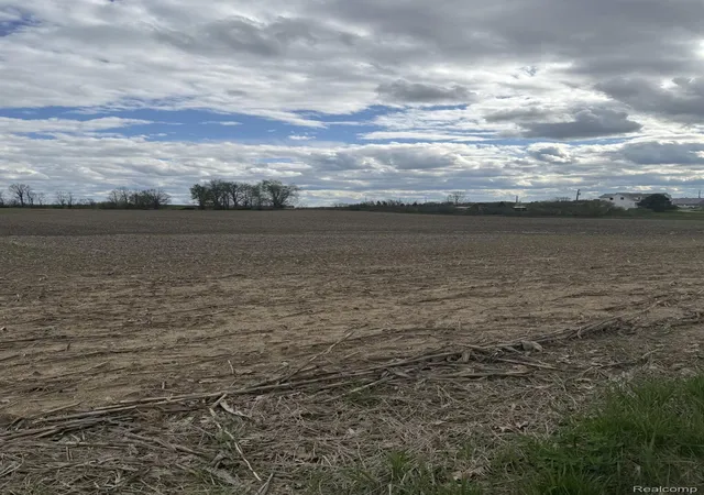 Photo 2 of Land for sale at 00 Thom Rd, Oregon Township Lapeer, MI 48721 | MLS# 20261007027 | Listing updated on 2026-08-03