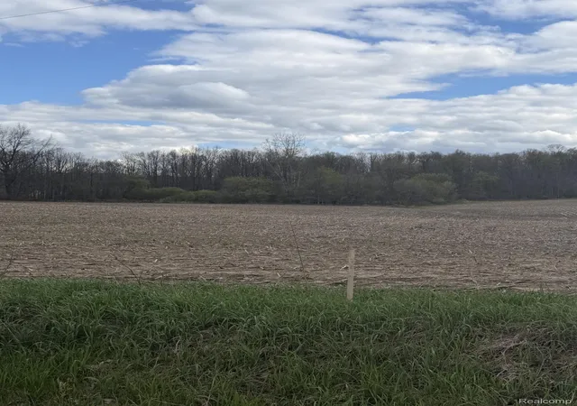 Photo 3 of Land for sale at 00 Thom Rd, Oregon Township Lapeer, MI 48721 | MLS# 20261007027 | Listing updated on 2026-08-03