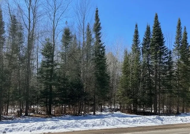 11th image of C Garfield Rd, Paradise Township Grand Traverse, MI 49649 | MLS# 78080065223