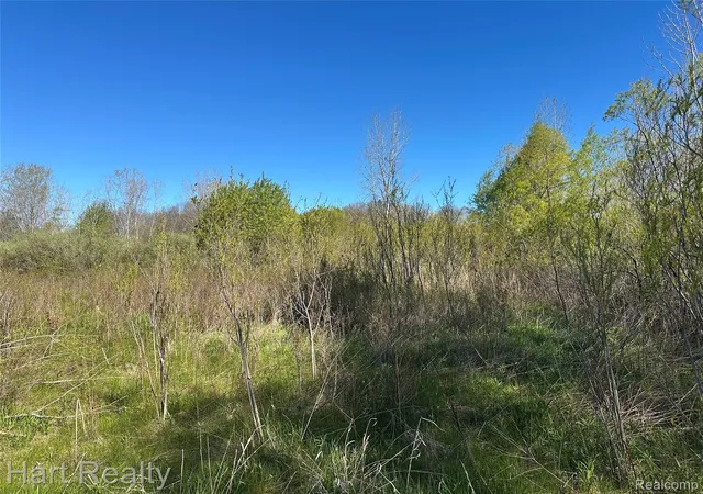 1st image of 13 Single Tree Cir, Dryden, MI 48428 | MLS# 20261007332