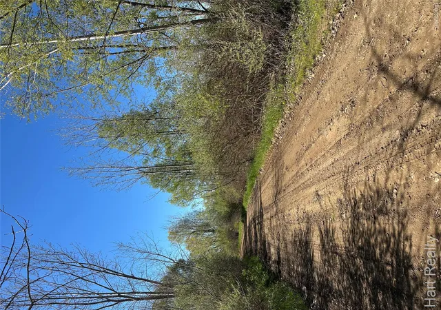10th image of 13 Single Tree Cir, Dryden, MI 48428 | MLS# 20261007332