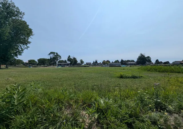 4th image of N/A Lola Ln, Turner, MI 48765 | MLS# 77080065237