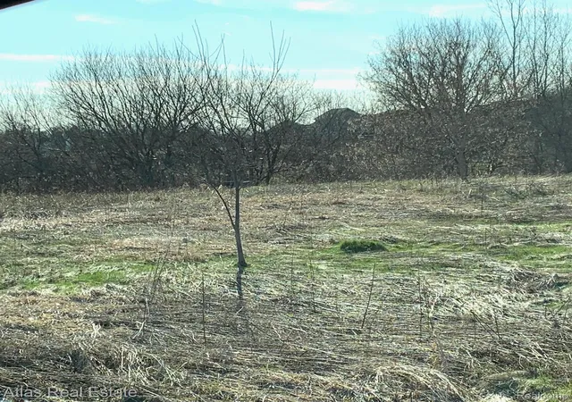 Photo 2 of Land for sale at 0 N State Rd, Richfield Township Genesee, MI 48423 | MLS# 20261007508 | Listing updated on 2026-08-19