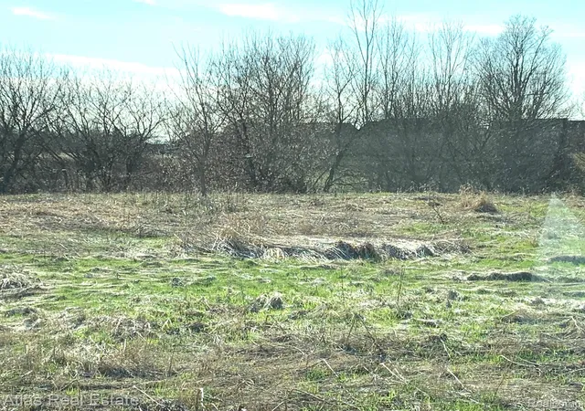 Photo 3 of Land for sale at 0 N State Rd, Richfield Township Genesee, MI 48423 | MLS# 20261007508 | Listing updated on 2026-08-19