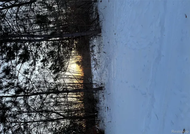 Photo 2 of Land for sale at 3000 S Genuine Rd, Chippewa Township Isabella, MI 48858 | MLS# 20261007946 | Listing updated on 2026-07-23
