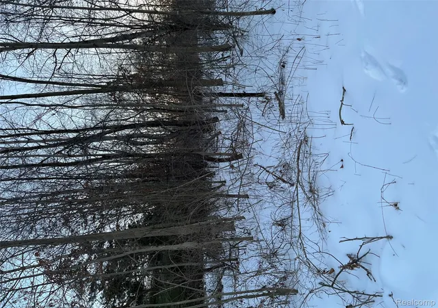 Photo 3 of Land for sale at 3000 S Genuine Rd, Chippewa Township Isabella, MI 48858 | MLS# 20261007946 | Listing updated on 2026-07-23
