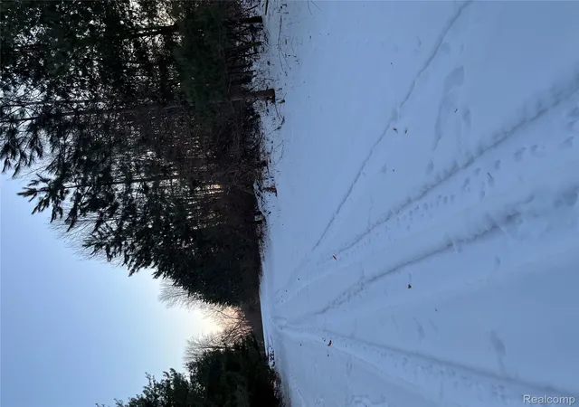 Photo 4 of Land for sale at 3000 S Genuine Rd, Chippewa Township Isabella, MI 48858 | MLS# 20261007946 | Listing updated on 2026-07-23