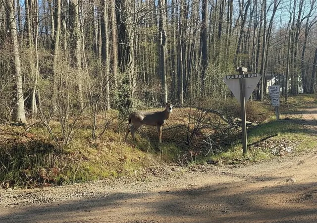 Photo 3 of Land for sale at Lot 40 Squirrel Run, Farwell, MI 48622 | MLS# 79080065314 | Listing updated on 2026-08-03