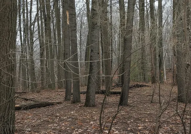 Photo 4 of Land for sale at Lot 40 Squirrel Run, Farwell, MI 48622 | MLS# 79080065314 | Listing updated on 2026-08-03