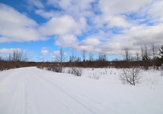 3rd image of 6436 Lora Bette Dr, Alanson, MI 49706 | MLS# 78080065367