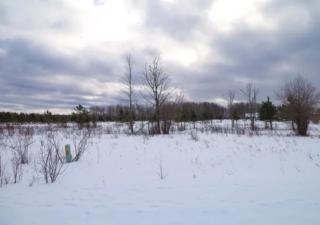 4th image of 6436 Lora Bette Dr, Alanson, MI 49706 | MLS# 78080065367