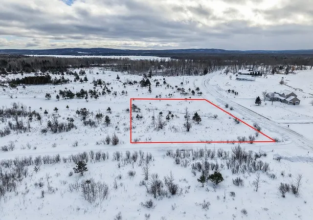 5th image of 6412 Lora Bette Dr, Alanson, MI 49706 | MLS# 78080065369