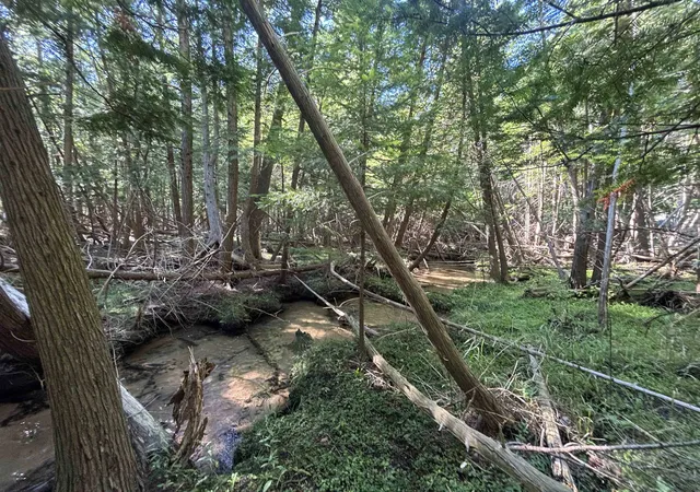 Photo 3 of Land for sale at 4715 Springbrook Dr, Williamsburg, MI 49690 | MLS# 78080065373 | Listing updated on 2026-08-20