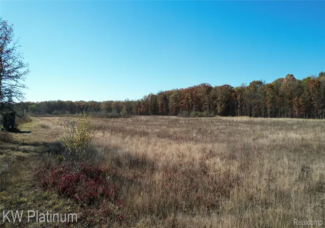 Photo 3 of Land for sale at Vacant 2 - 28 Mile Rd, Ray Township Macomb, MI 48096 | MLS# 20261009057 | Listing updated on 2026-08-22