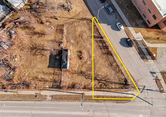 Homes for sale in Hamtramck, MI | 8306 Conant St, Hamtramck, MI 48211 | MLS# 20261009105