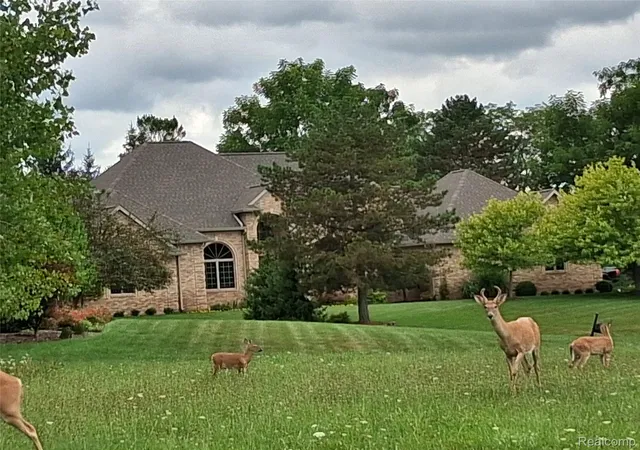 Photo 3 of Land for sale at Lot 21 Burlwood Cir, Grand Blanc, MI 48439 | MLS# 20261009665 | Listing updated on 2026-07-06