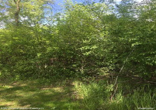 Photo 3 of Land for sale at 0000 Highland Park Dr, Highland Charter Township Oakland, MI 48356 | MLS# 20261009756 | Listing updated on 2026-07-06