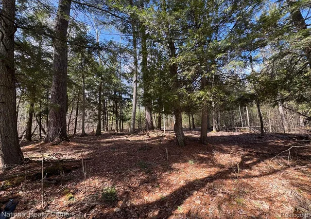 3rd image of 4233 Hardacre Trl, Houghton Lake, MI 48629 | MLS# 20261009766