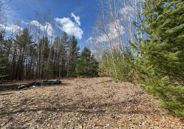 5th image of 4233 Hardacre Trl, Houghton Lake, MI 48629 | MLS# 20261009766