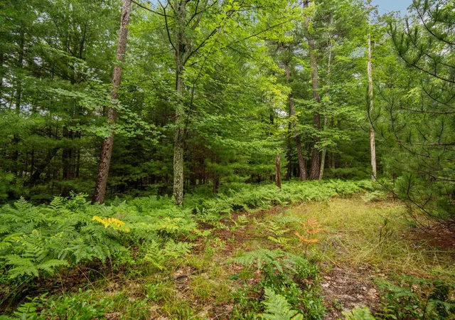 Photo 1 of Land for sale at 00 Business Park Dr, East Bay Township Grand Traverse, MI 49686 | MLS# 78080065506 | Listing updated on 2026-07-24