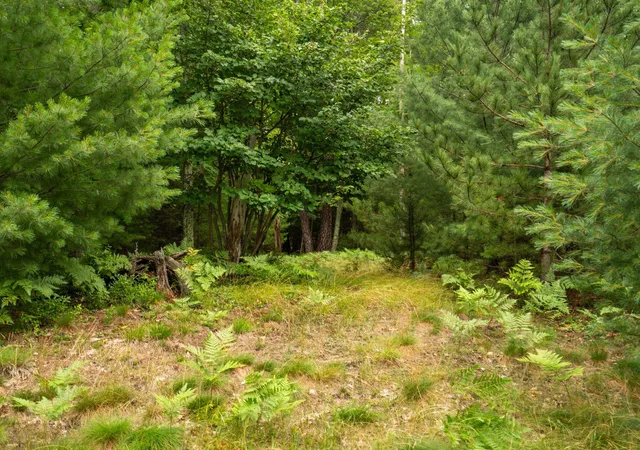 Photo 2 of Land for sale at 00 Business Park Dr, East Bay Township Grand Traverse, MI 49686 | MLS# 78080065506 | Listing updated on 2026-07-24