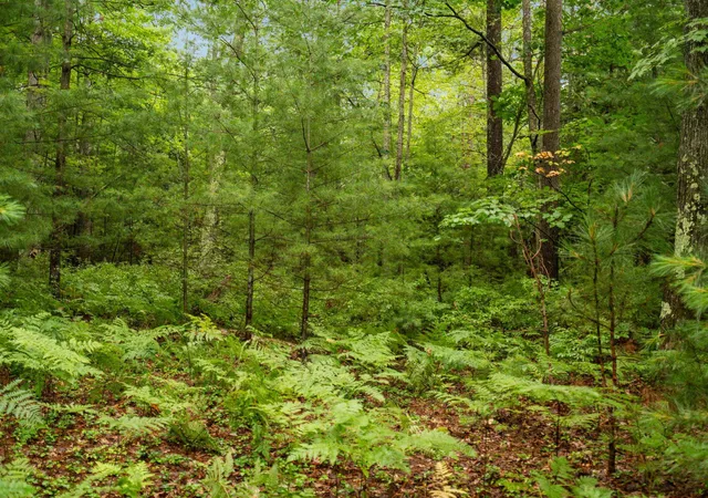 Photo 3 of Land for sale at 00 Business Park Dr, East Bay Township Grand Traverse, MI 49686 | MLS# 78080065506 | Listing updated on 2026-07-24