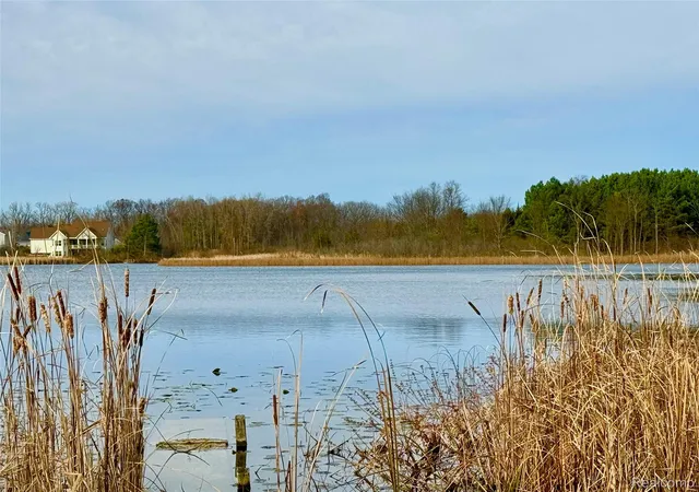 Photo 3 of Land for sale at 0 Butcher Rd, Fenton, MI 48430 | MLS# 20261010542 | Listing updated on 2026-07-06