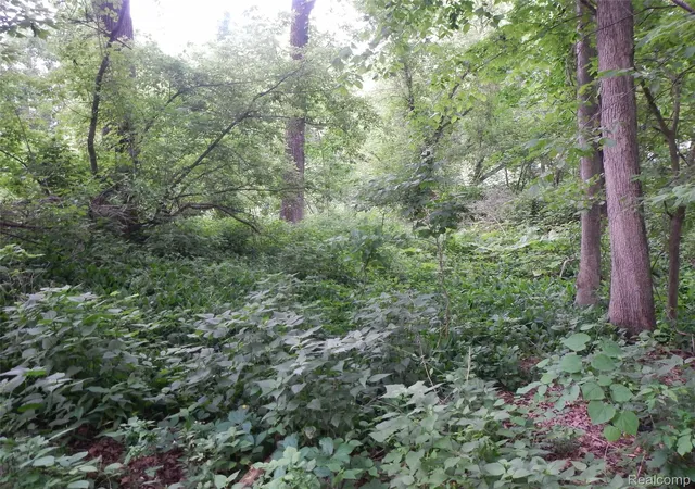 2nd image of 0000 Johnson Dr, Lake Orion Village Oakland, MI 48362 | MLS# 20261010686