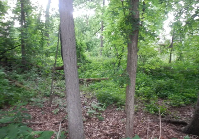 2nd image of 00000 Johnson Dr, Lake Orion Village Oakland, MI 48362 | MLS# 20261010689