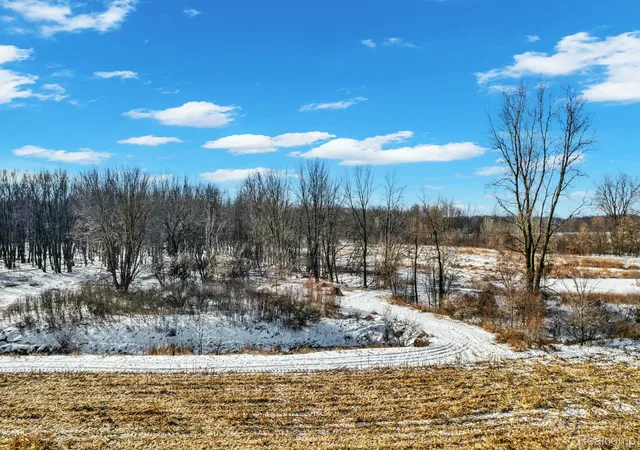 Photo 2 of Land for sale at 3766 Payne Rd, Attica, MI 48412 | MLS# 20261010737 | Listing updated on 2026-07-06