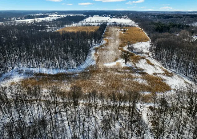Photo 3 of Land for sale at 3766 Payne Rd, Attica, MI 48412 | MLS# 20261010737 | Listing updated on 2026-07-06