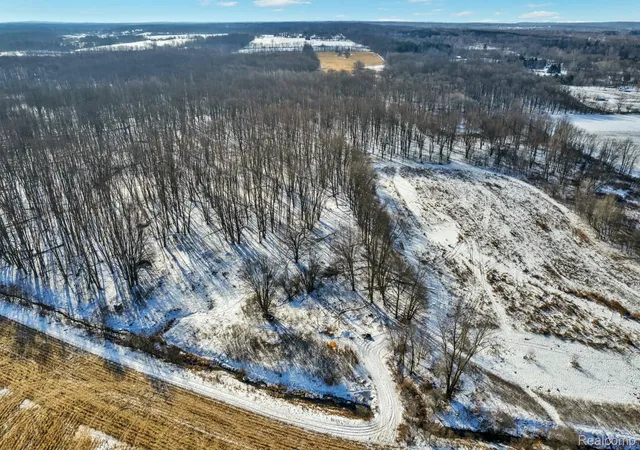 Photo 3 of Land for sale at 3766 Payne Rd, Attica, MI 48412 | MLS# 20261010737 | Listing updated on 2026-07-06