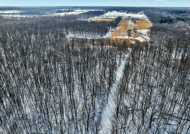 Photo 4 of Land for sale at 3766 Payne Rd, Attica, MI 48412 | MLS# 20261010737 | Listing updated on 2026-07-06