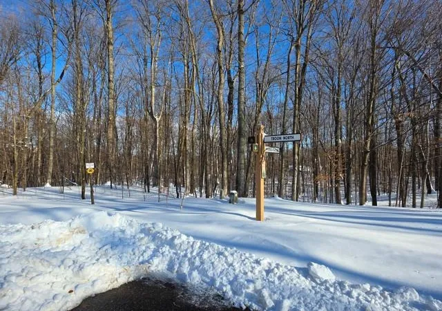 4th image of 267 Congressional Dr, Bellaire, MI 49615 | MLS# 78080065575