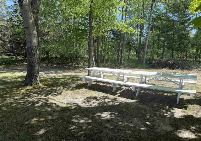 5th image of 8923 Se Torch Lake Dr, Alden, MI 49612 | MLS# 78080065621