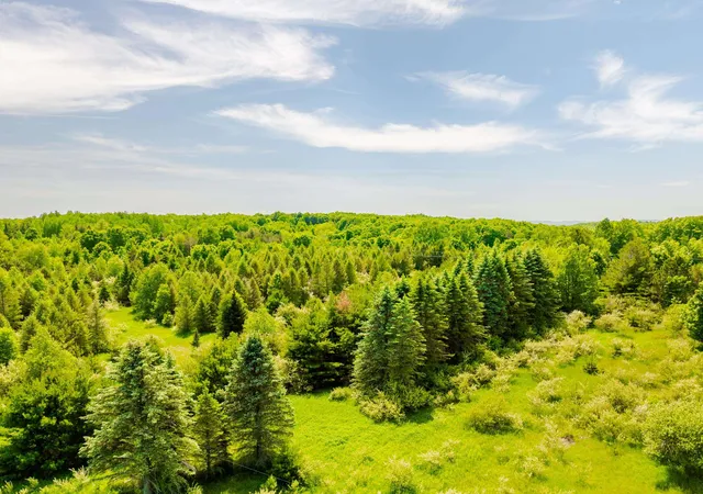 3rd image of Tbd Traverse Rd, Thompsonville, MI 49683 | MLS# 78080065631