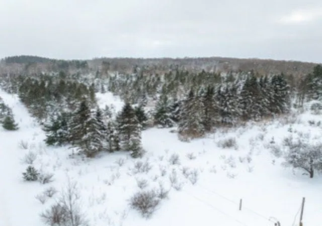 40th image of Tbd Traverse Rd, Thompsonville, MI 49683 | MLS# 78080065631