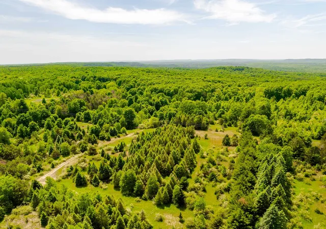 4th image of Tbd Traverse Rd, Thompsonville, MI 49683 | MLS# 78080065631