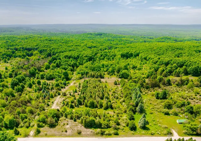 5th image of Tbd Traverse Rd, Thompsonville, MI 49683 | MLS# 78080065631