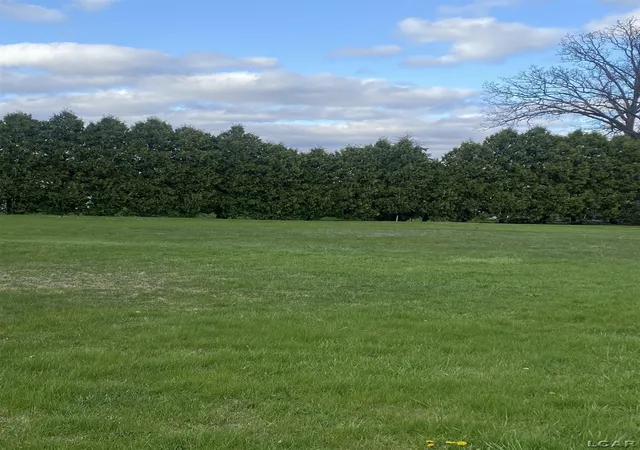 Photo 1 of Land for sale at 200 Blk Railroad St, Blissfield Village Lenawee, MI 49228 | MLS# 56050200168 | Listing updated on 2026-08-23
