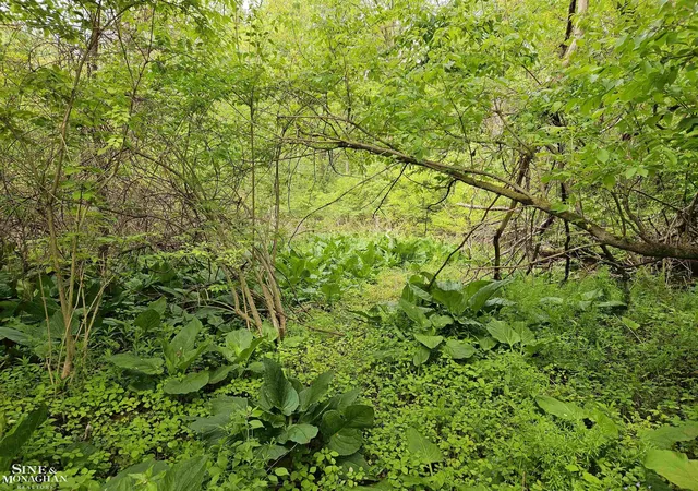Photo 3 of Land for sale at 73763 Coon Crk Rd, Armada Township Macomb, MI 48005 | MLS# 58050200178 | Listing updated on 2026-08-24