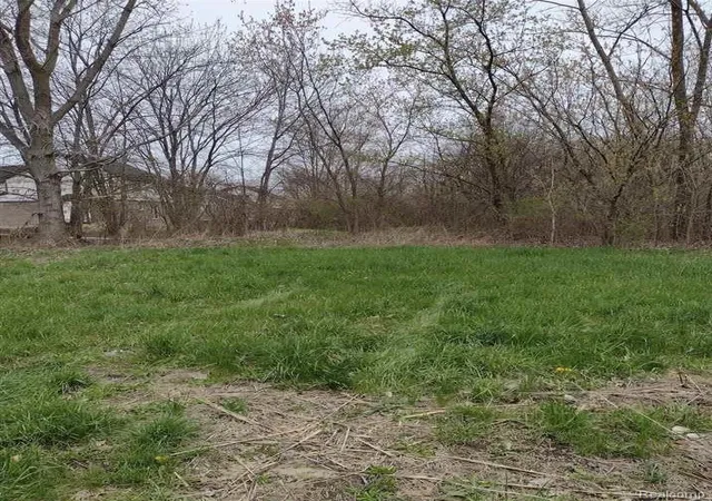 Photo 2 of Land for sale at 00 N Cotton Rd, New Baltimore, MI 48047 | MLS# 20261012021 | Listing updated on 2026-07-06