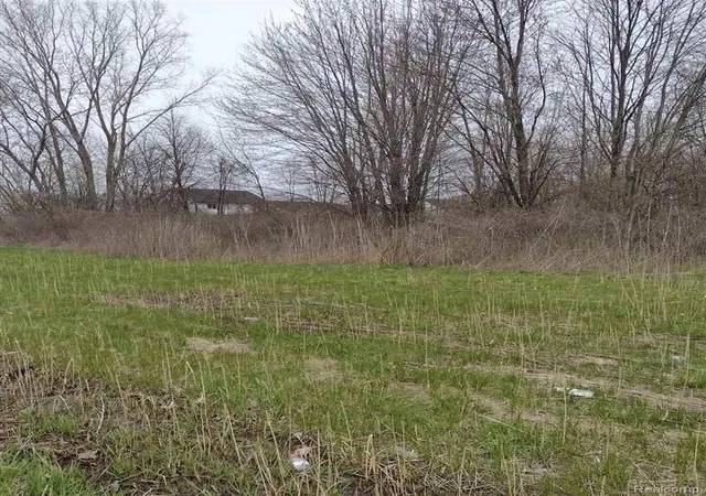 Photo 3 of Land for sale at 00 N Cotton Rd, New Baltimore, MI 48047 | MLS# 20261012021 | Listing updated on 2026-07-06