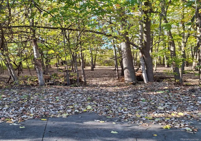 Photo 4 of Land for sale at 00 N Cotton Rd, New Baltimore, MI 48047 | MLS# 20261012021 | Listing updated on 2026-07-06
