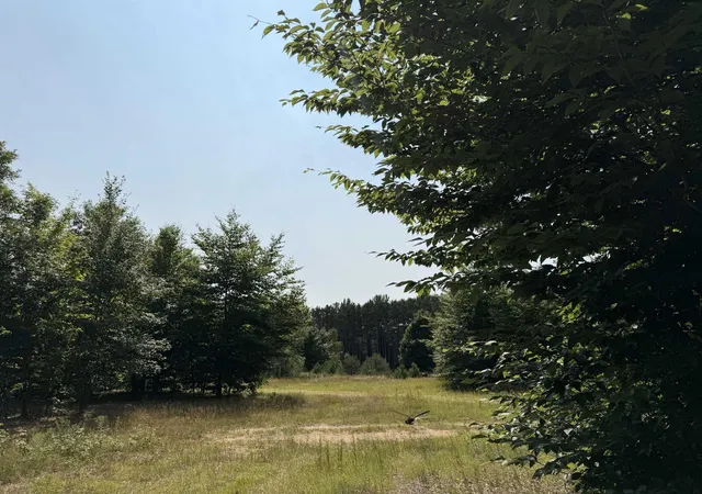 1st image of 0000 Landis Rd, Thompsonville, MI 49683 | MLS# 78080065667