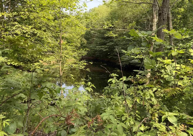 2nd image of 0000 Landis Rd, Thompsonville, MI 49683 | MLS# 78080065667