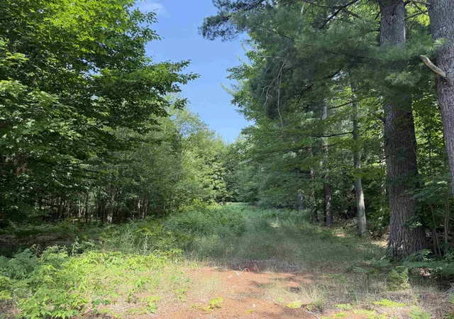 3rd image of 0000 Landis Rd, Thompsonville, MI 49683 | MLS# 78080065667